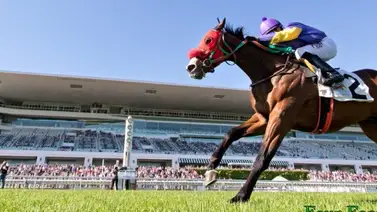 Jockey criollo rompe la taquilla del día en este hipódromo de Estados Unidos Jockey criollo rompe la taquilla del día en este hipódromo de Estados Unidos