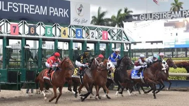 Aquí el Best Bet y los Tips Jueves Gulfstream Park 07-03-2024