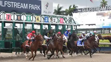 Aquí el Best Bet y los Tips Jueves Gulfstream Park 07-03-2024 Aquí el Best Bet y los Tips Jueves Gulfstream Park 07-03-2024
