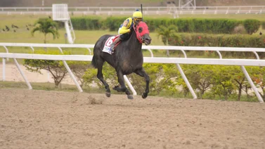 Mira quién será el jockey de El de Froix en el 2024 en La Rinconada 