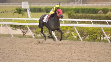 Mira quién será el jockey de El de Froix en el 2024 en La Rinconada Mira quién será el jockey de El de Froix en el 2024 en La Rinconada