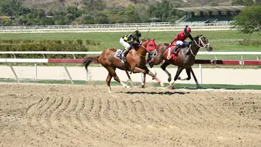 Este será el nuevo jinete de Padel en su próxima carrera en La Rinconada Este será el nuevo jinete de Padel en su próxima carrera en La Rinconada