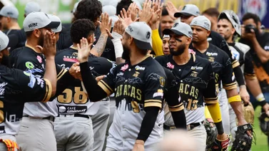 LMBP: Senadores contrata a campocorto de Leones del Caracas (+Video)