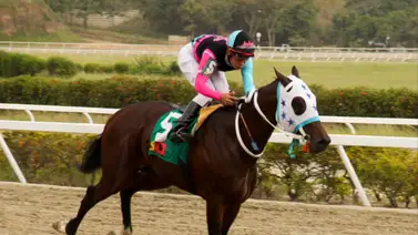 Mira como ajustó este ejemplar que puede ser una de las sorpresas del 5y6 nacional en La Rinconada Mira como ajustó este ejemplar que puede ser una de las sorpresas del 5y6 nacional en La Rinconada