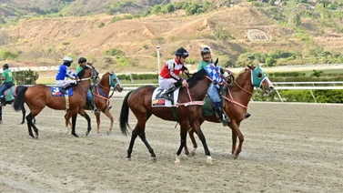 Yegua que de ganar tumbaría todos los cuadros del 5y6 ajusta fenómeno en La Rinconada 