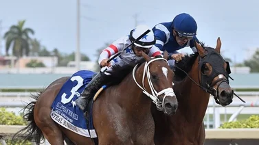 Mira quién es el jockey mexicano con más grade Stakes ganados en el 2024