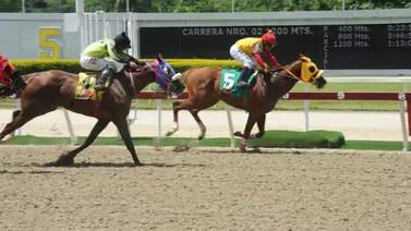 Mira como salió en su ajuste este ejemplar que en sus más recientes ha tenido problemas en la partida Mira como salió en su ajuste este ejemplar que en sus más recientes ha tenido problemas en la partida