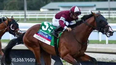 Luis Sáez es el jockey panameño más destacado del 2024 en esta estadística Luis Sáez es el jockey panameño más destacado del 2024 en esta estadística