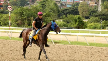 Mira el increíble ajuste de este debutante que va en las validas del 5y6 
