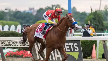 Caso Justify toma un rumbo sombrío, aquí te lo contamos Caso Justify toma un rumbo sombrío, aquí te lo contamos