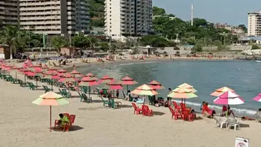 ¡Mucho cuidado! Reportaron extraño y tóxico animal que acecha las playas de La Guaira (+Video) ¡Mucho cuidado! Reportaron extraño y tóxico animal que acecha las playas de La Guaira (+Video)