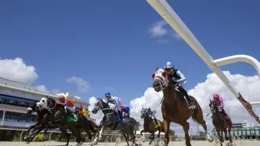 Hija de yegua venezolana gana su primera carrera en Estados Unidos Hija de yegua venezolana gana su primera carrera en Estados Unidos
