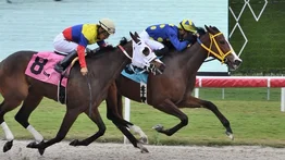 Stud venezolano consigue su primera victoria del 2024 en Gulfstream Park