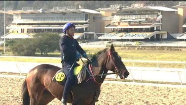 Robert Capriles galopa ejemplares en el hipódromo La Rinconada (+video)