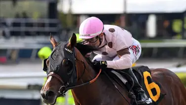 Así quedaron los resultados de las carreras Gulfstream Park 8-3-2024 Así quedaron los resultados de las carreras Gulfstream Park 8-3-2024