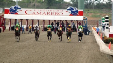 Yoqueta puertorriqueña va invicta este año en el hipódromo de Camarero