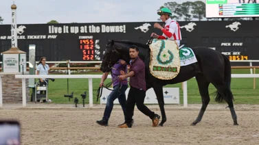 Domestic Product se queda con el Tampa Bay Derby en foto finish