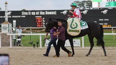 Domestic Product se queda con el Tampa Bay Derby en foto finish Domestic Product se queda con el Tampa Bay Derby en foto finish