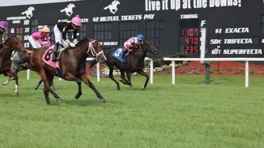 Yunta venezolana gana Stakes este sábado en Tampa Bay Downs