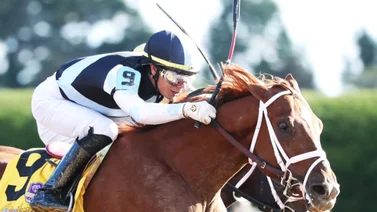 Prometedor potro queda fuera de la Ruta al Kentucky Derby