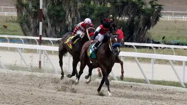 Estos fueron los dividendos del 5y6 en la reunión nueve de La Rinconada Estos fueron los dividendos del 5y6 en la reunión nueve de La Rinconada