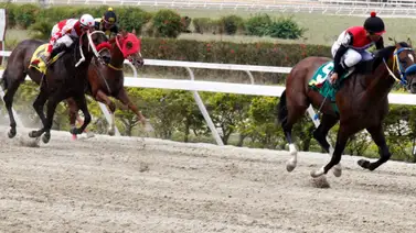 INH sanciona con multa a este jinete de La Rinconada por esta razón INH sanciona con multa a este jinete de La Rinconada por esta razón