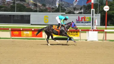 Este aprendiz es Multado por la junta de comisarios del INH (+Resolución) Este aprendiz es Multado por la junta de comisarios del INH (+Resolución)