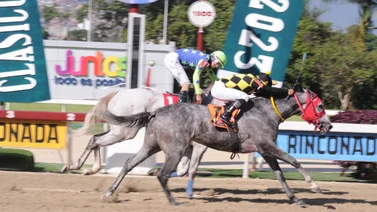 Conoce lo que pasó con Paint White después de la última carrera en La Rinconada