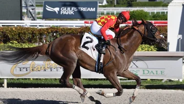 Este venezolano va por dos carreras millonarias de la Dubai World Cup