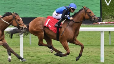 Junior Alvarado ganó estos dos clásicos en Estados Unidos (+video)