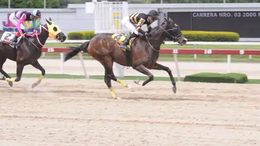 The Queen Nani por la repetida del Clásico Gustavo J. Sanabria el domingo The Queen Nani por la repetida del Clásico Gustavo J. Sanabria el domingo