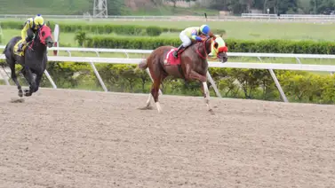 Rod Hendrick y El de Froix: La revancha en el Clásico José María Vargas 2024 Rod Hendrick y El de Froix: La revancha en el Clásico José María Vargas 2024