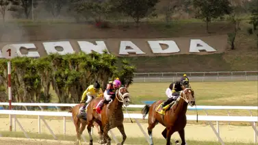 Futuro reaparece en el Clásico Socopó en La Rinconada Futuro reaparece en el Clásico Socopó en La Rinconada