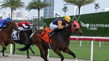 Jinete venezolano continua obteniendo victorias el Gulfstream Park