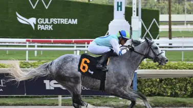 Jockey venezolano se lució en Gulfstream Park Jockey venezolano se lució en Gulfstream Park