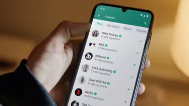 Elimina tus contactos antiguos de WhatsApp o te podrías exponer a un riesgo de seguridad Elimina tus contactos antiguos de WhatsApp o te podrías exponer a un riesgo de seguridad