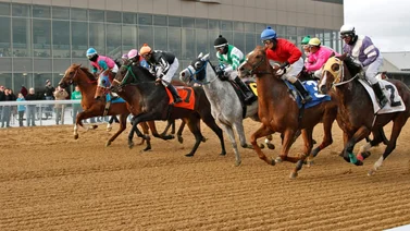 Ganador de un Kentucky Derby se luce este lunes en este hipódromo de Estados Unidos 