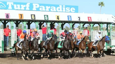 Este el es jockey venezolano más destacado de la semana pasada en Estados Unidos 