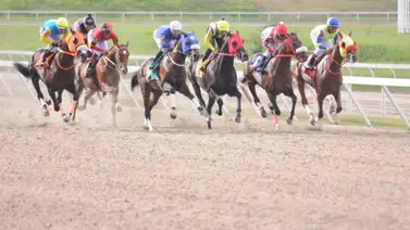 Debuta ejemplar hijo de un semental que dio a un ganador del Simón Bolívar Debuta ejemplar hijo de un semental que dio a un ganador del Simón Bolívar