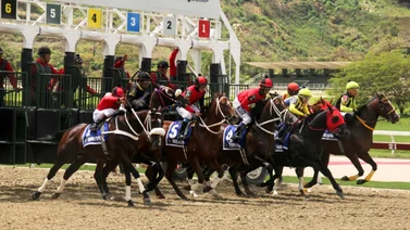 El doble campeón del caribe se prepara para reaparecer en La Rinconada