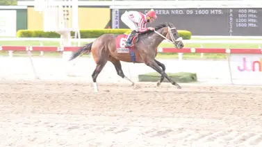 Debuta ejemplar que su padre dio un ganador del José Antonio Páez en La Rinconada Debuta ejemplar que su padre dio un ganador del José Antonio Páez en La Rinconada