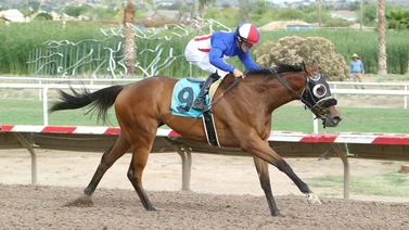 Jornada de Gala con 5 stakes el jueves en este hipódromo de Estados Unidos