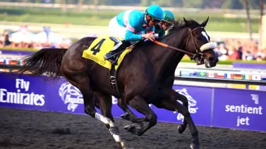 Mira a cuantos millones aumentan los premios de las Breeders´Cup en 2024 Mira a cuantos millones aumentan los premios de las Breeders´Cup en 2024