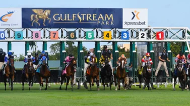 Aqui el Best Bet y los Tips para Gulfstream Park 13-03-2024