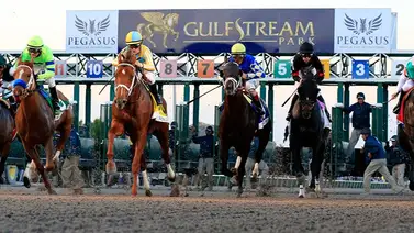 Así quedaron los resultados de las carreras Gulfstream Park 13-03-2024 Así quedaron los resultados de las carreras Gulfstream Park 13-03-2024