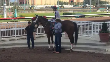 Entrenador es suspendido y deberá pagar una abultada multa Entrenador es suspendido y deberá pagar una abultada multa