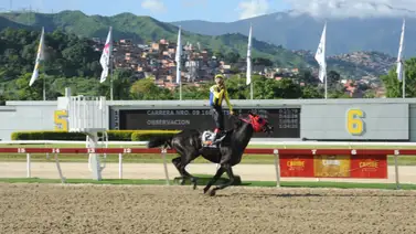 Mira ajuste de El de Froix para el Clásico José María Vargas Mira ajuste de El de Froix para el Clásico José María Vargas