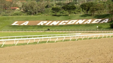 Mira el ajuste del dato más corrido en La Rinconada