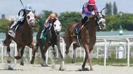 Aqui el Best Bet y los Tips para Gulfstream Park 14-03-2024