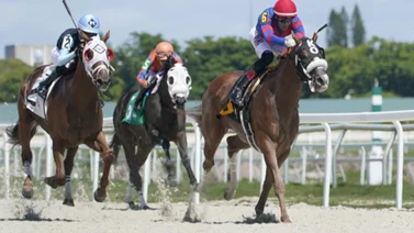 Aqui el Best Bet y los Tips para Gulfstream Park 14-03-2024